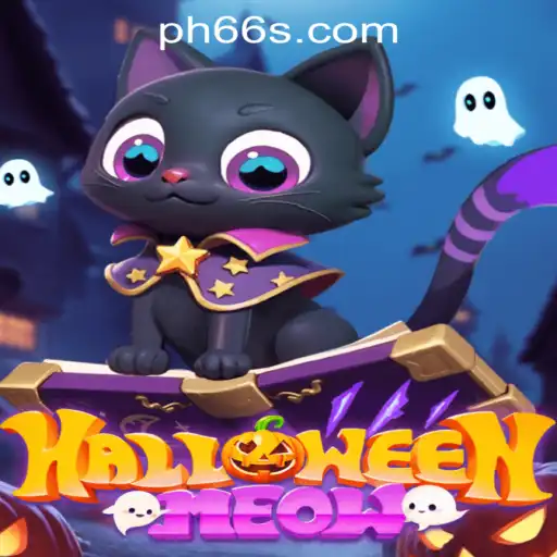 Enter the Enchanting World of HalloweenMeow: A Spooky Adventure Awaits